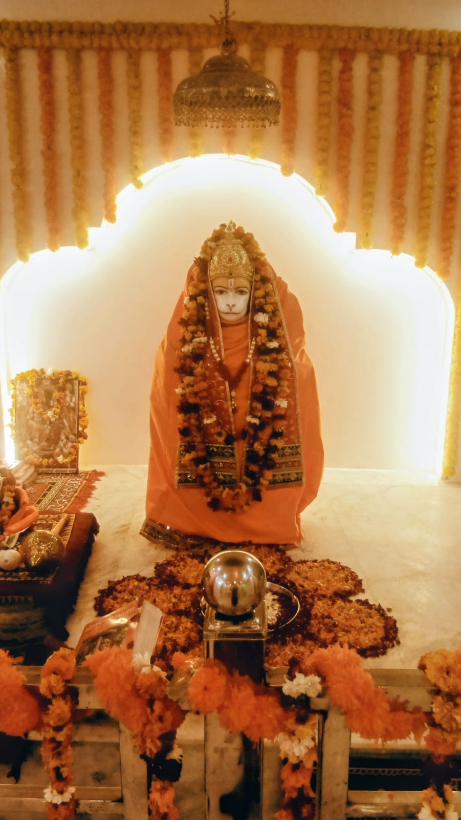 WhatsApp Image 2026-02-20 at 12.09.04 PM (1)